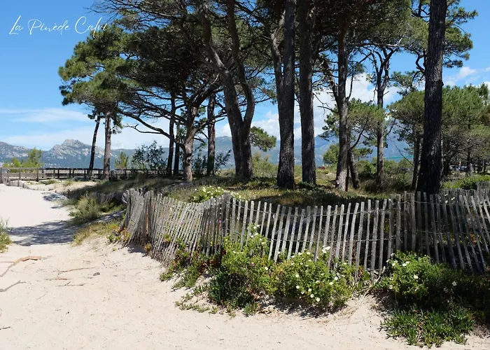 2 Charley Super Emplacement Et Parking Calvi (Corsica)